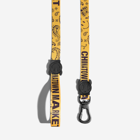 Zee.Dog x Chinatown Market Yellow | Leash