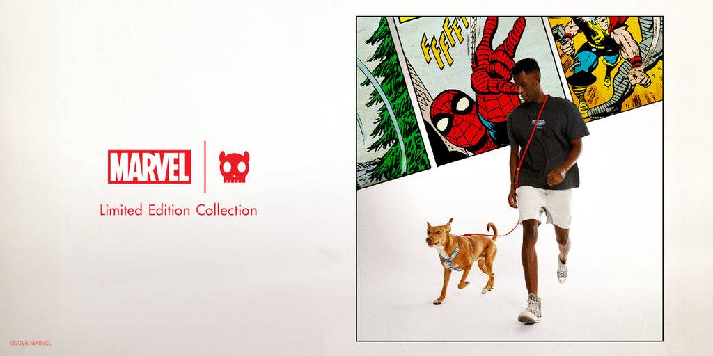 Zee.Dog Enters the Marvel Universe with New Collection