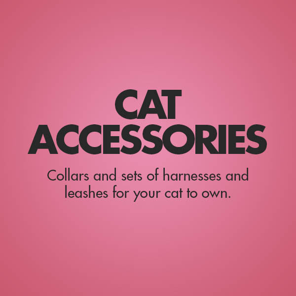 Cat Accessories