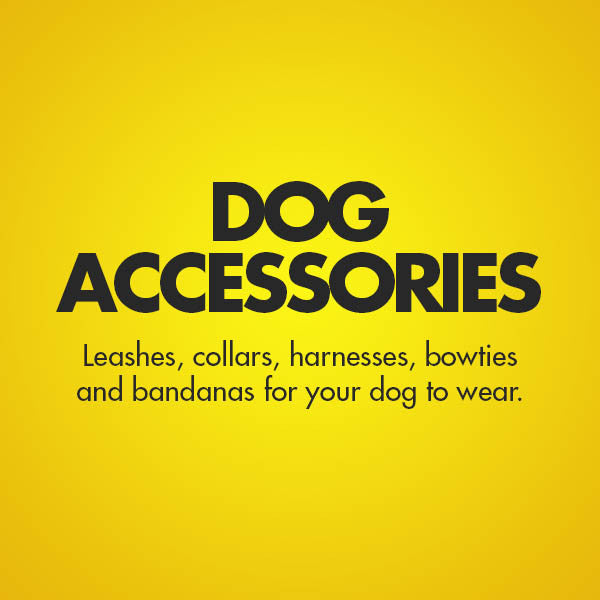 Dog Accessories