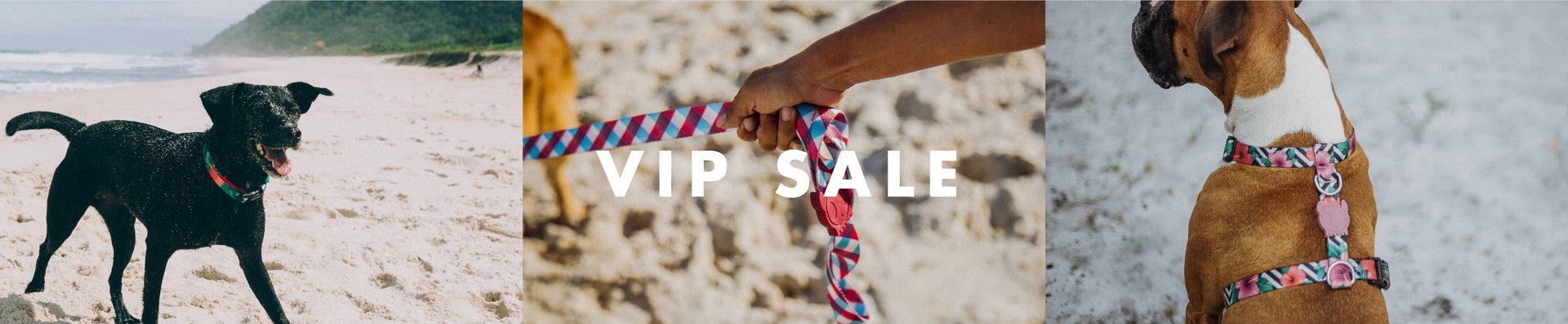 40% Off VIP Sale