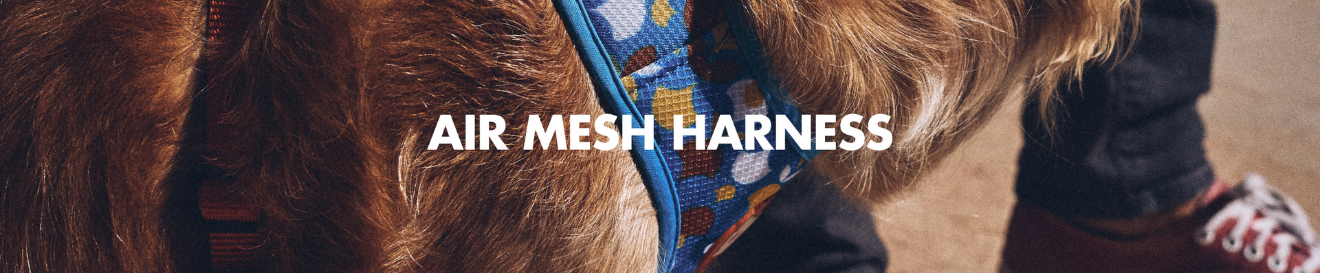 Dog Air Mesh Harnesses