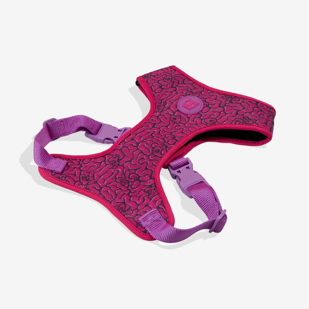 Zee.Dog Brain Adjustable Air Mesh Harness