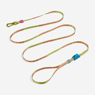 CMYK | Long Leash