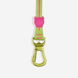 CMYK | Long Leash