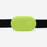 Lime | Galaxy Tag Holder