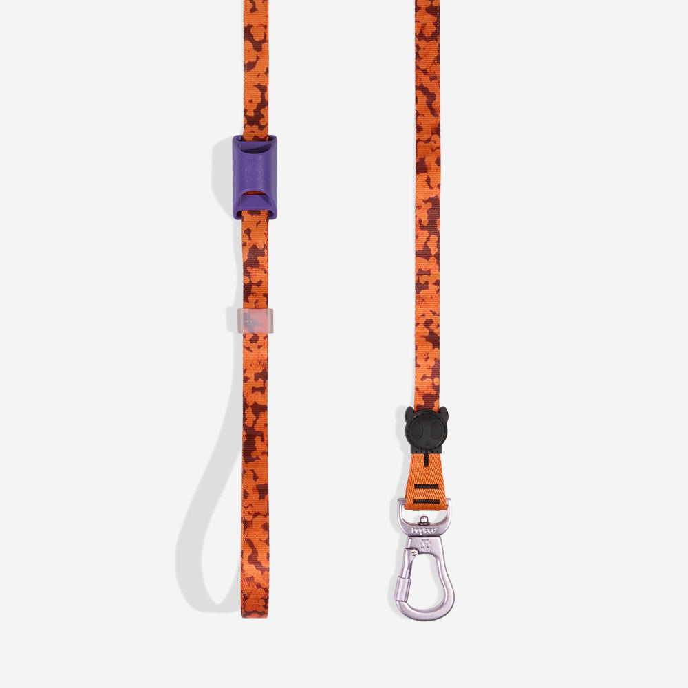 Leopard | Long Leash