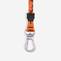 Leopard | Long Leash