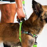 Zee.Dog Manifesto SofterWalk Harness