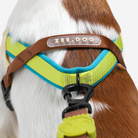 Avocado | SofterWalk Harness