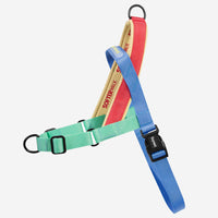 Mellow | SofterWalk Harness