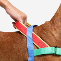 Mellow | SofterWalk Harness