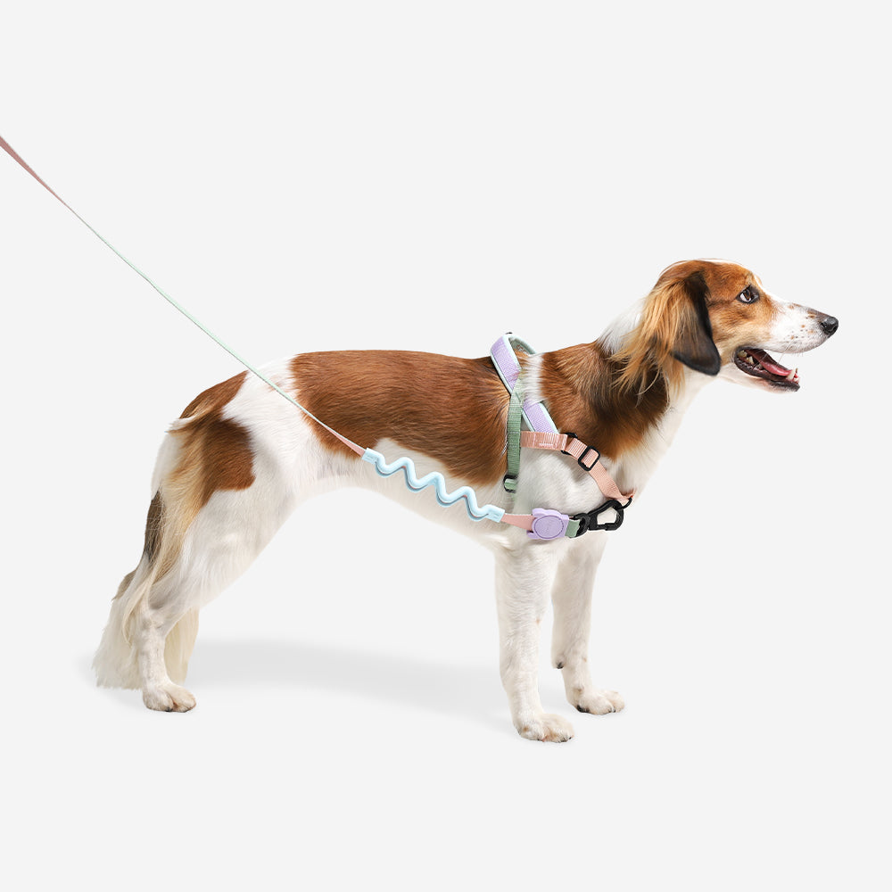 Peach | SofterWalk Harness