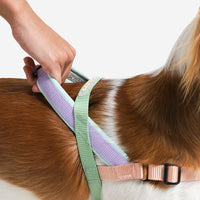 Peach | SofterWalk Harness