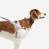 Peach | SofterWalk Harness