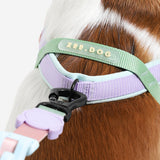 Peach | SofterWalk Harness