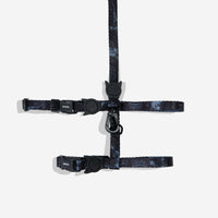 Black Panther | Cat Harness with Leash