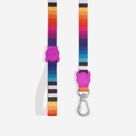 Prisma | Leash