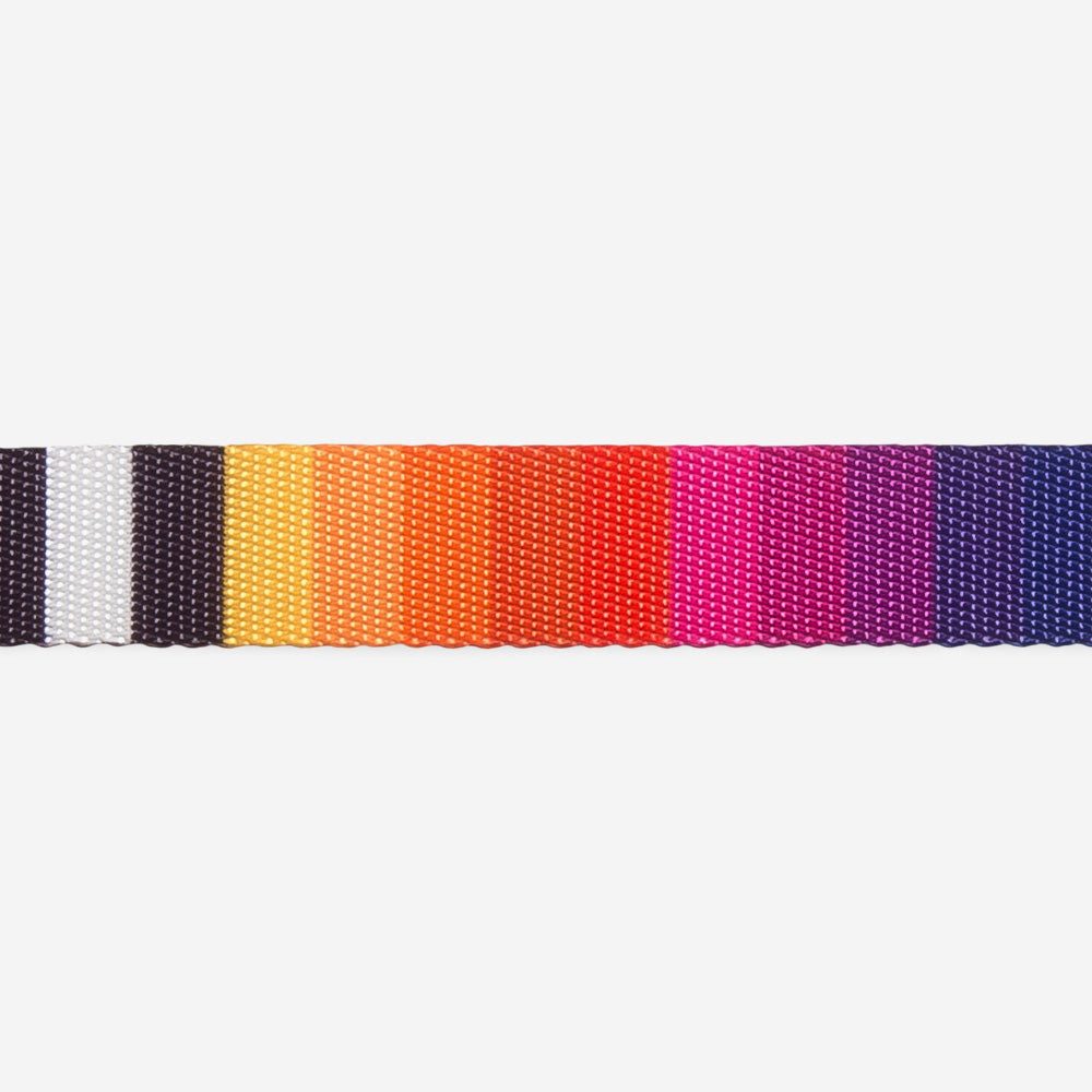 Prisma | Leash