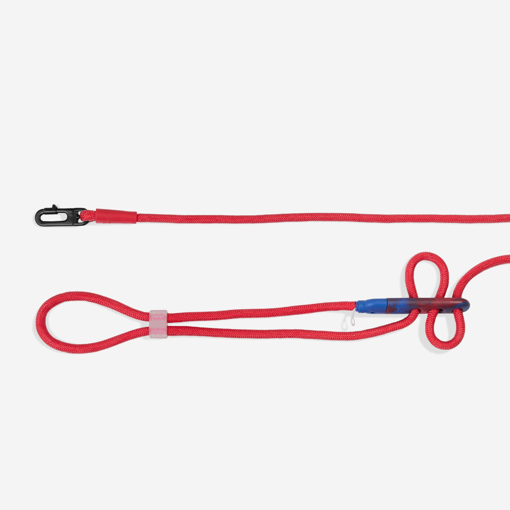 Zee.Dog Spider-Man Hands-Free Leash