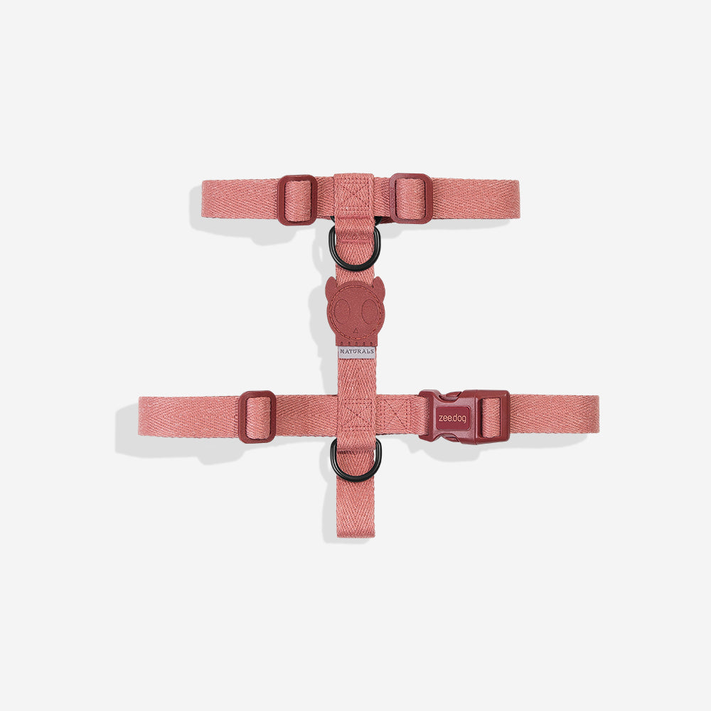 Canyon | H Harness