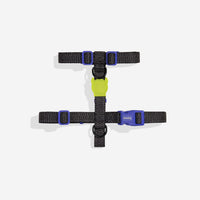 NOX | H Harness