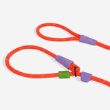 Everest | Slip-N-Lock Leash