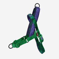 Zee.Dog Hulk SofterWalk Harness