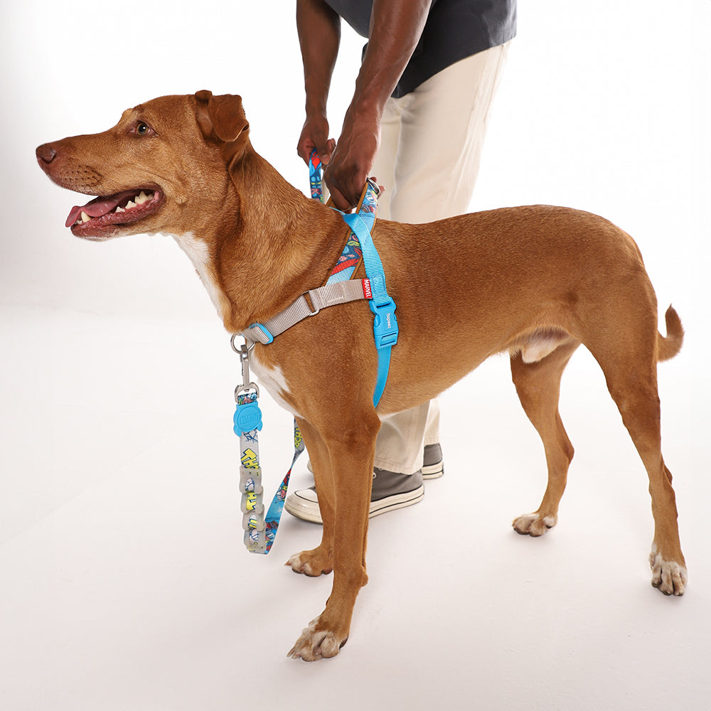 Thor | SofterWalk Harness