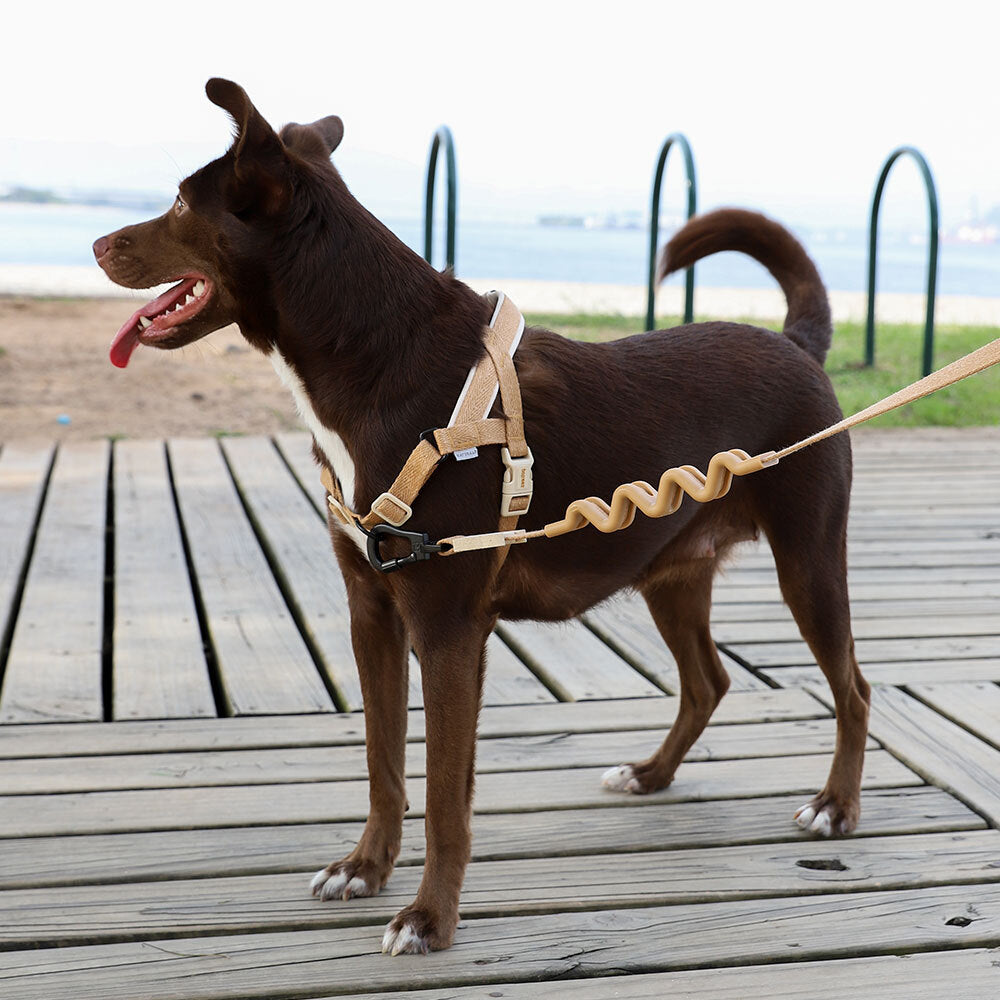 Dune | SofterWalk Harness