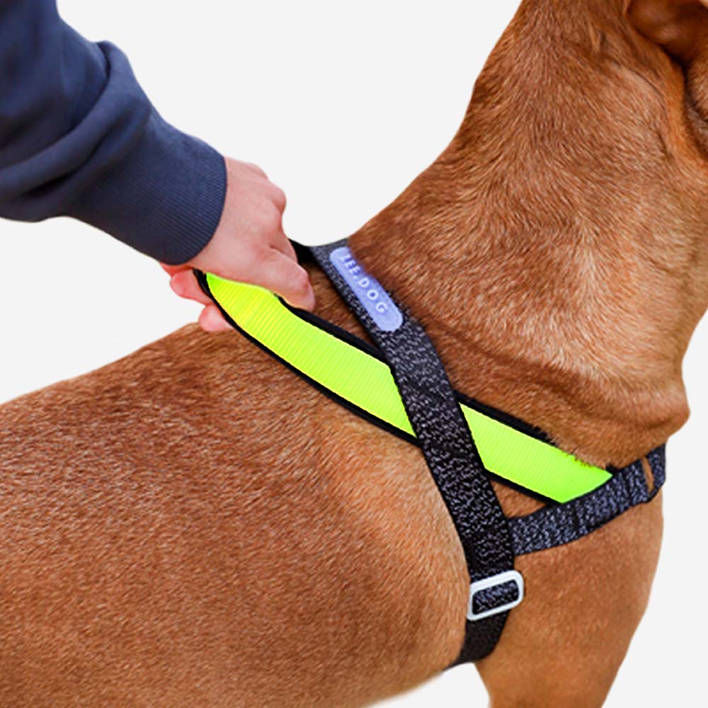 NOX SofterWalk Harness | Reflective No-Pull Dog Harness