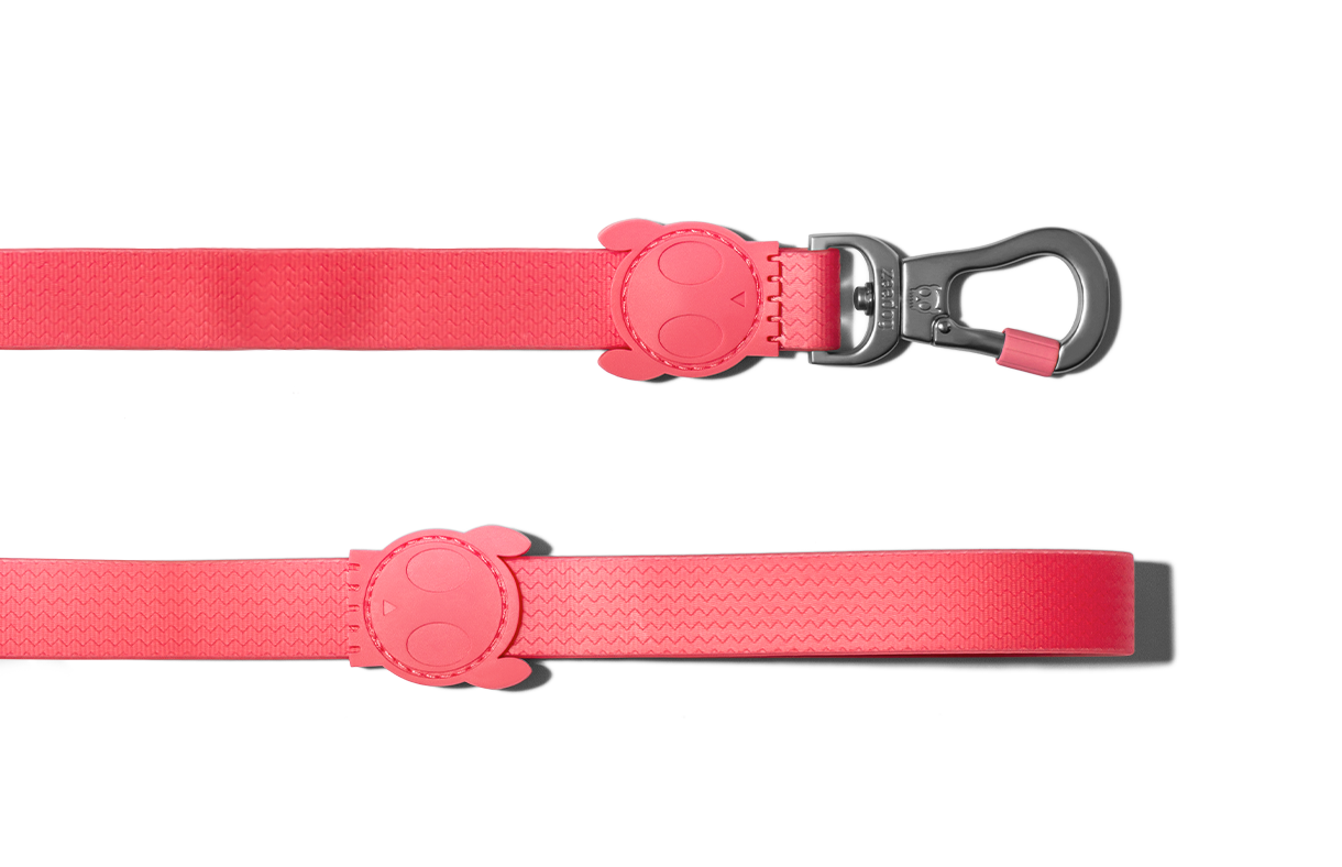 dog-leash-neopro-bubblegum-pink-weather-resistant-zeedog-info-image