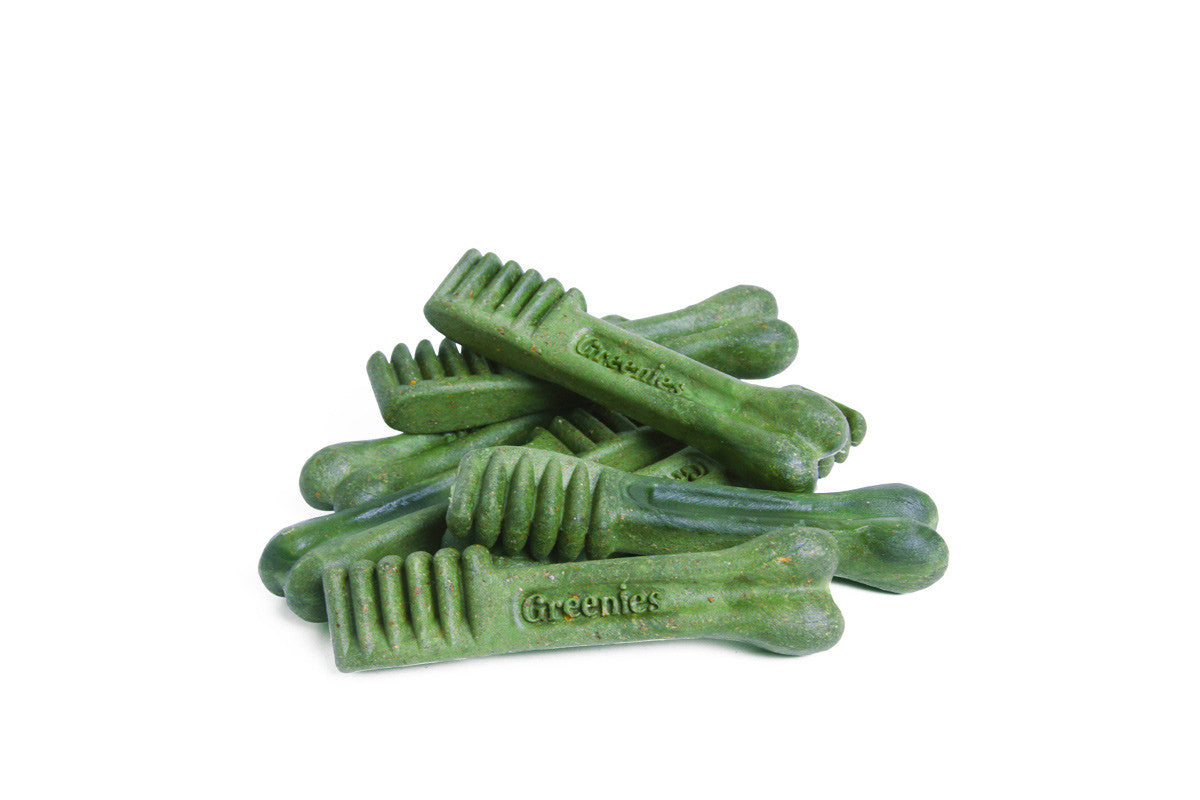 Zee.Dog Greenies Freshmint Regular I Dental Dog Treats