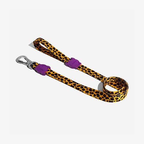 Honey | Dog Leash