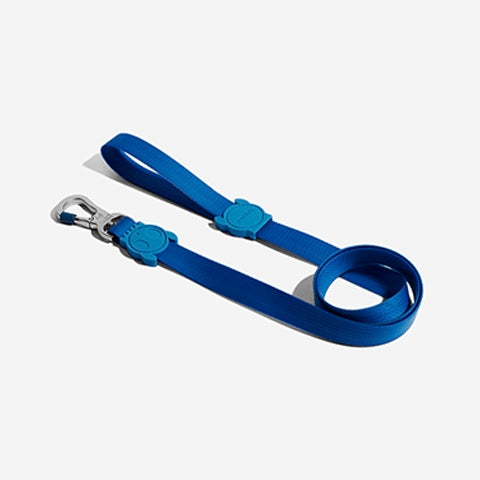 Neopro Blue | Leash