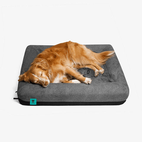 Zee.Bed Logo | Dog Bed