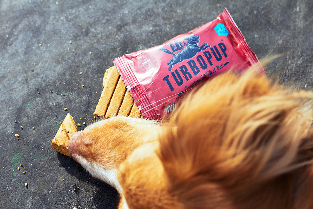 Zee.Dog Turbopup - Bacon Flavor Dog Power Bar