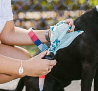 Blue | Plant Based Poop Bags