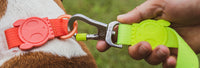 Neopro Lime | Leash