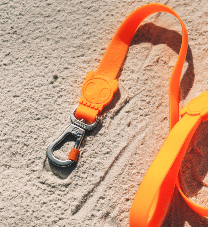 Neopro Tangerine | Leash