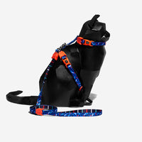 Atlanta | Cat Harness with Leash