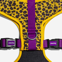 Honey | Adjustable Air Mesh Harness