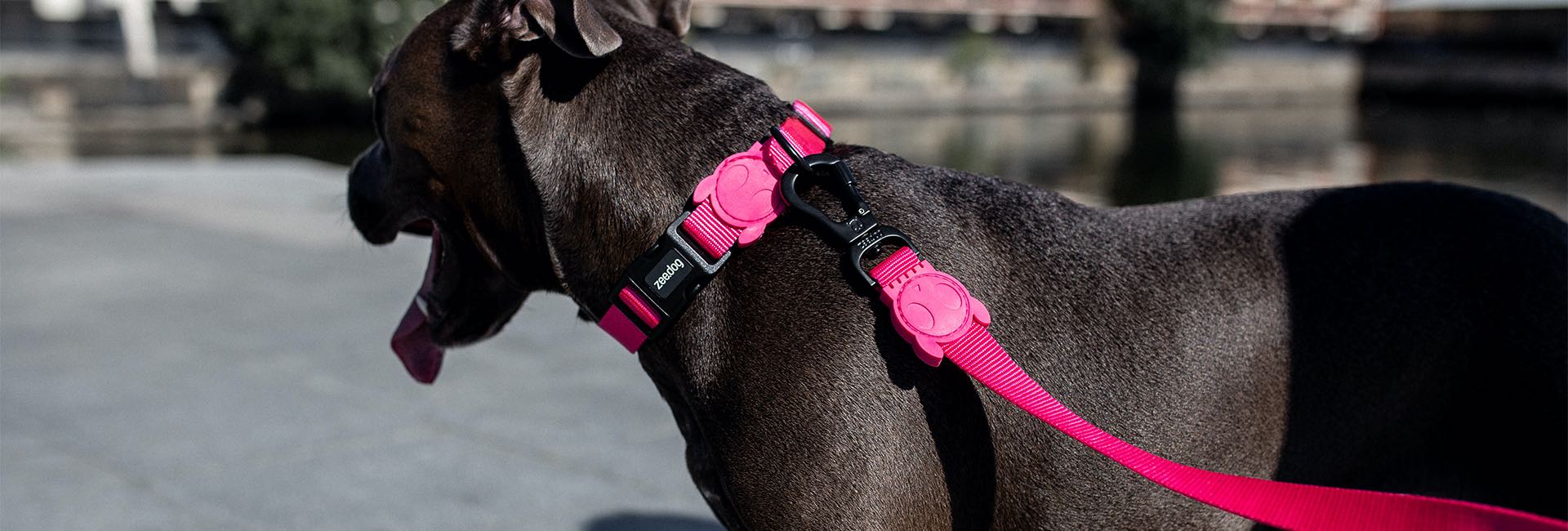 Pink LED | Adjustable Air Mesh Harness