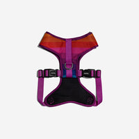 Prisma | Adjustable Air Mesh Harness