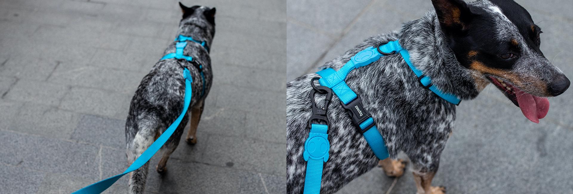 Ultimate Blue | Adjustable Air Mesh Harness