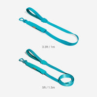 Blue | Airleash