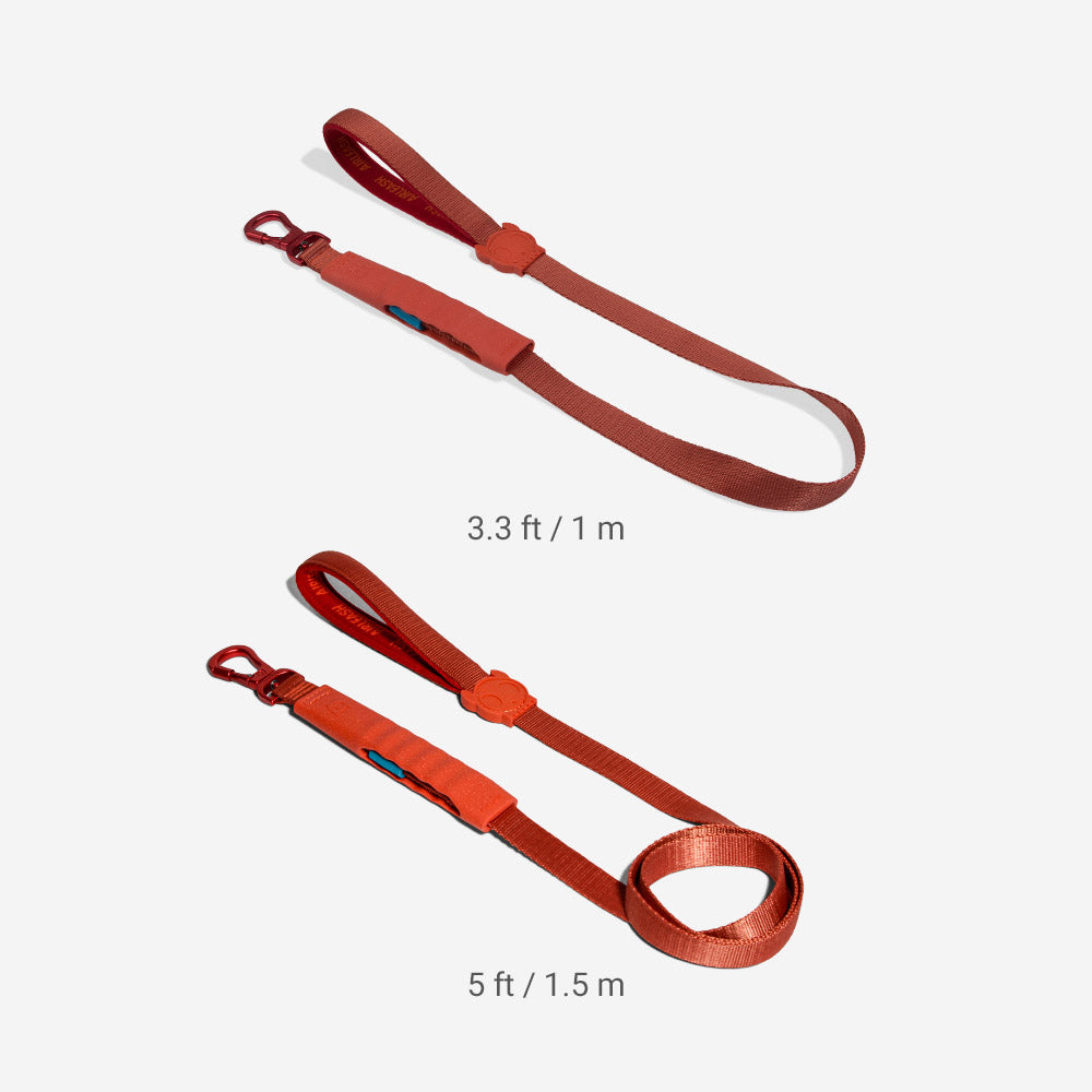 Crimson | Airleash