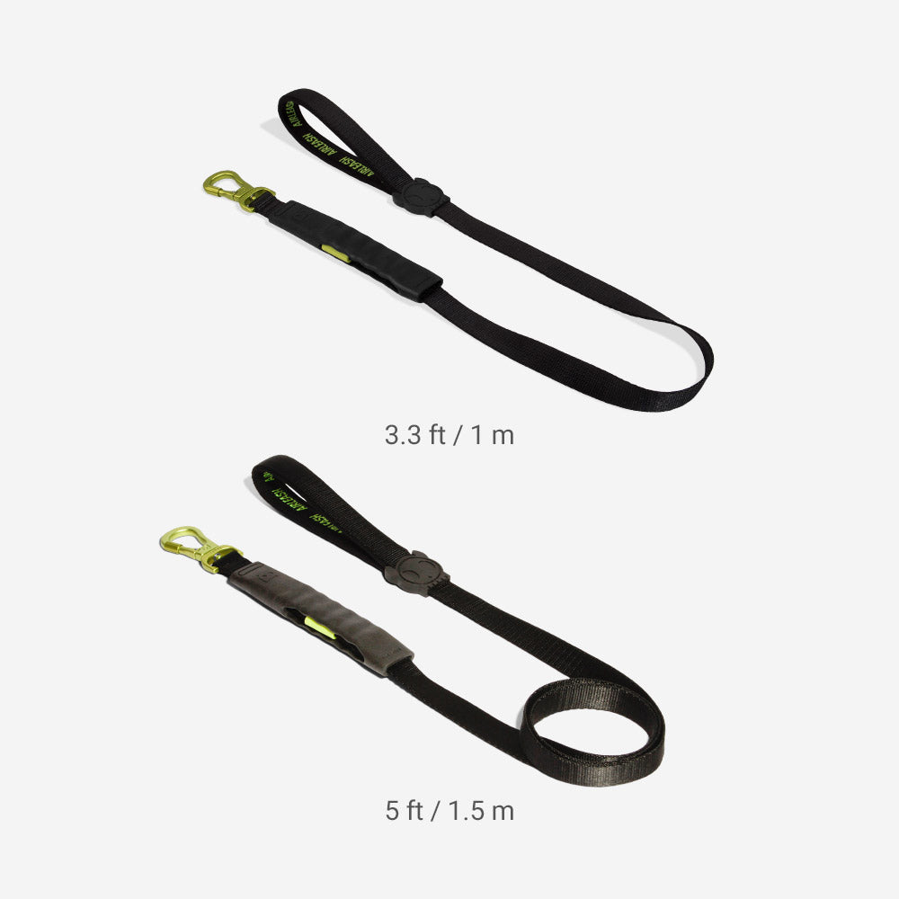 Neon | Airleash