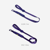 Violet | Airleash