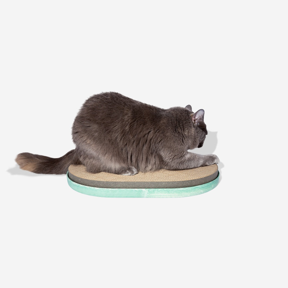 Petstages cat scratcher best sale